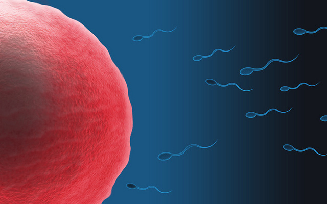 මද සරුභාවය (Subfertility) ගැන මදක් දැනගනිමු